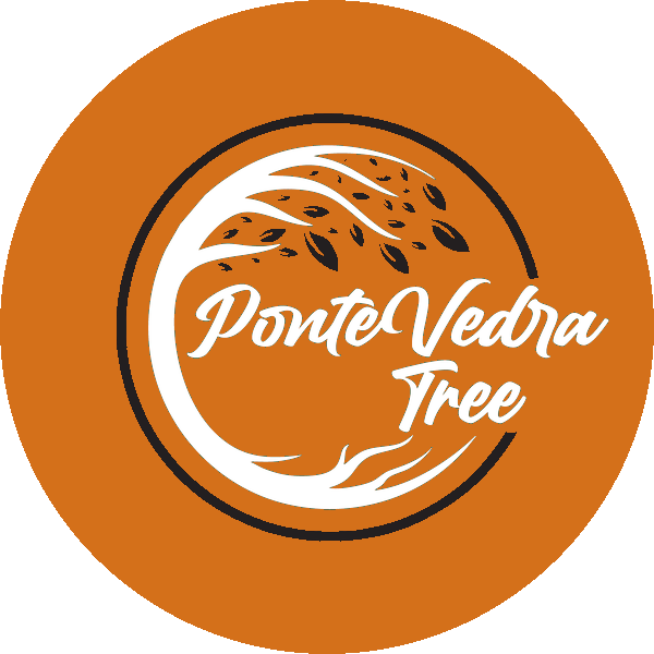 Ponte Vedra Tree