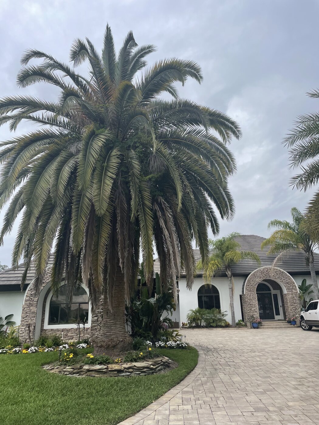 The Ponte Vedra Tree crew