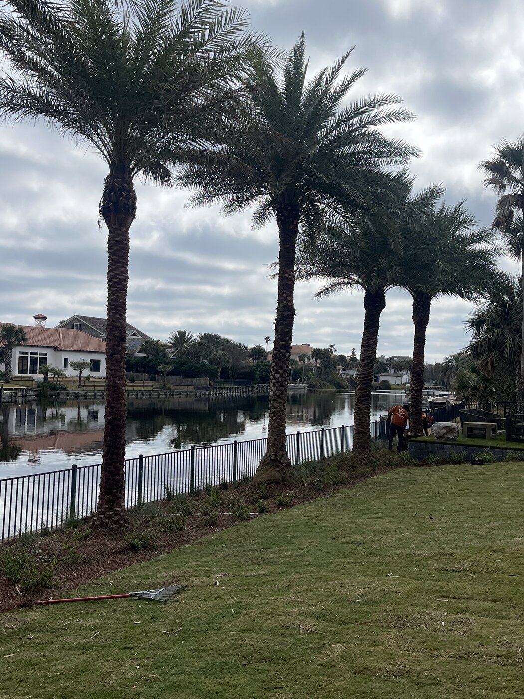 Ponte Vedra Tree crew at work