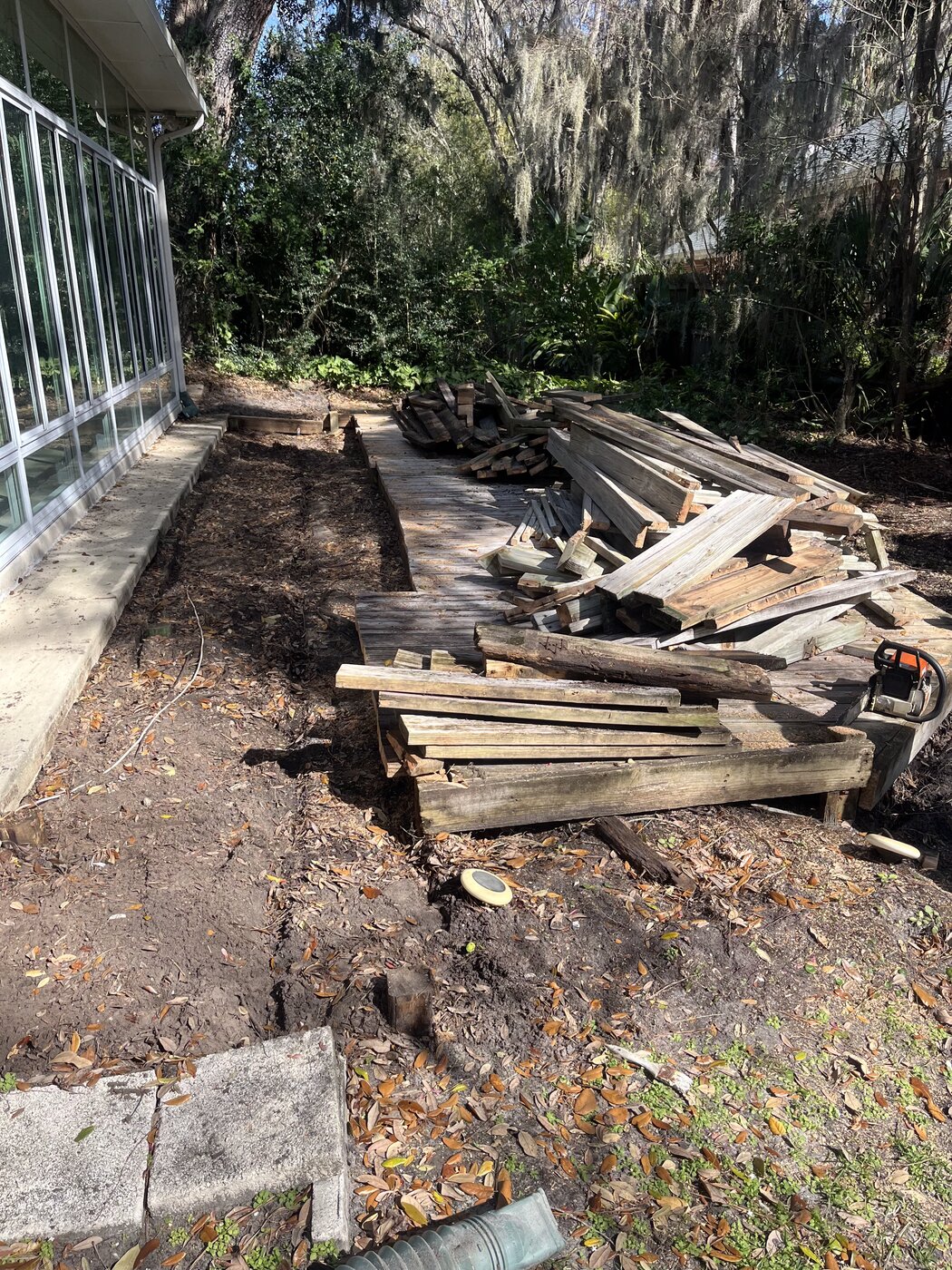 Tree removal service