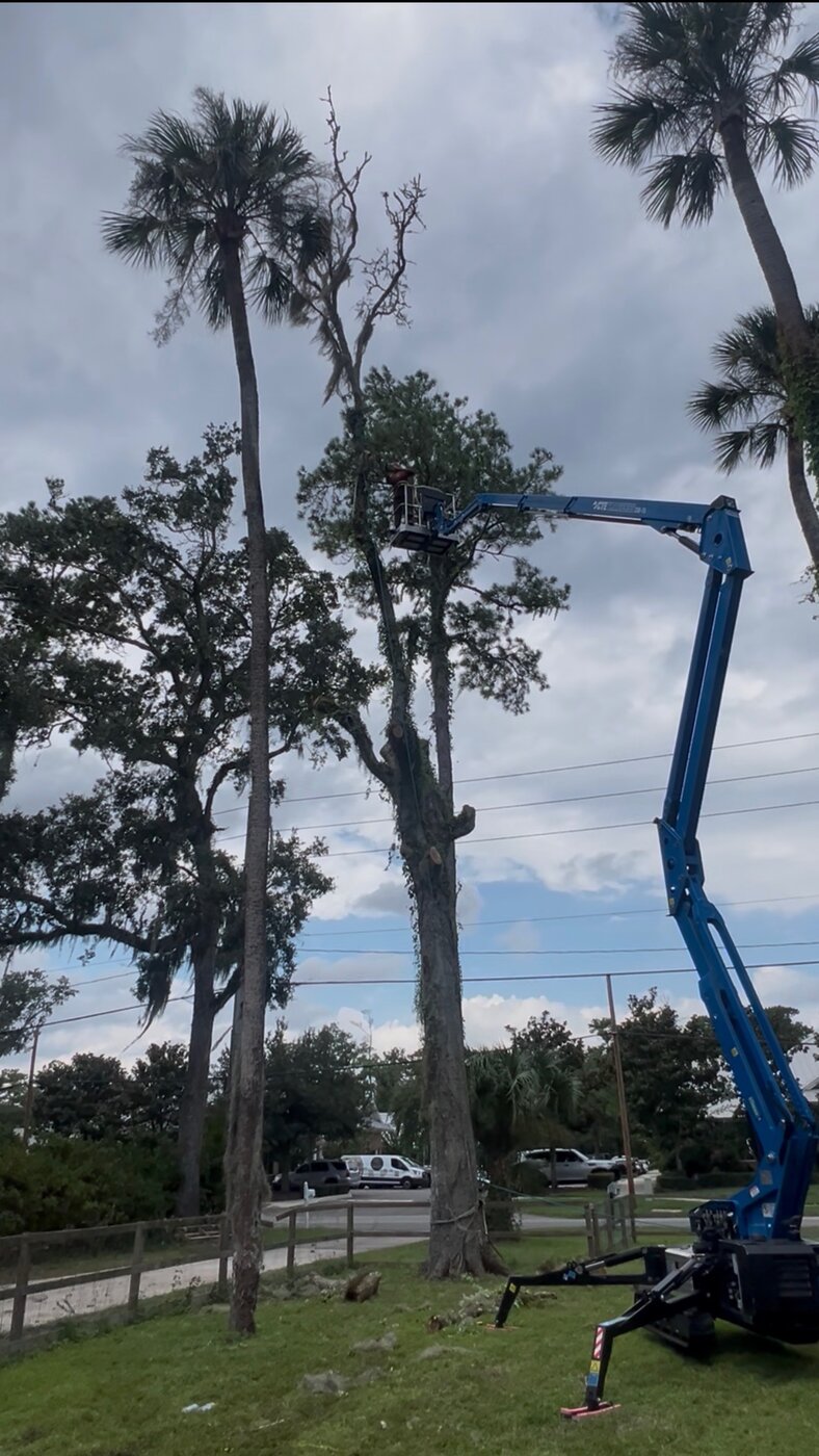 Stump grinding service
